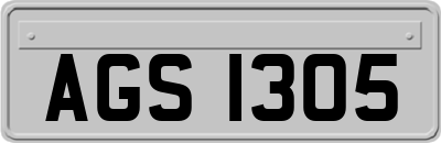 AGS1305