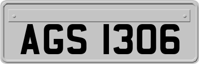 AGS1306