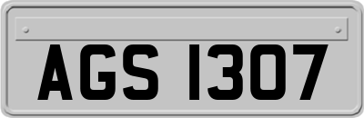 AGS1307
