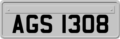 AGS1308