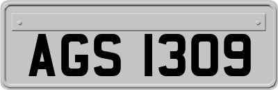 AGS1309