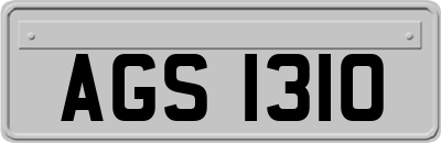 AGS1310