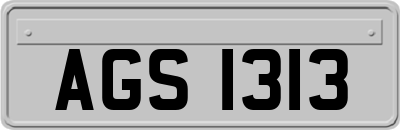 AGS1313