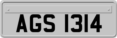 AGS1314