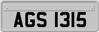 AGS1315