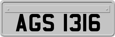 AGS1316