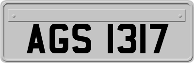 AGS1317