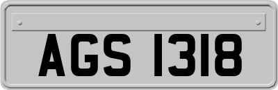 AGS1318