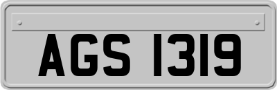 AGS1319