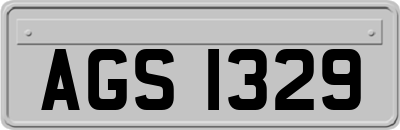 AGS1329