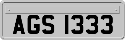 AGS1333
