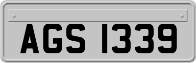 AGS1339