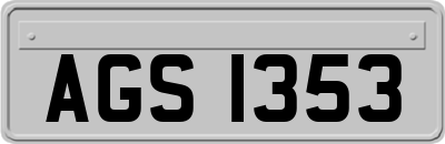 AGS1353