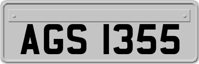 AGS1355