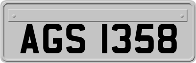 AGS1358