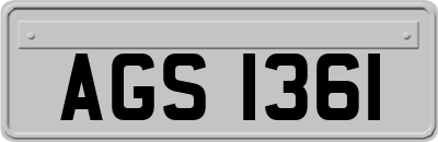 AGS1361