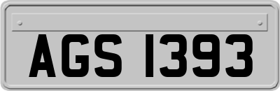 AGS1393