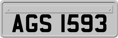 AGS1593