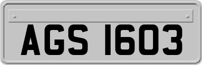 AGS1603