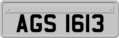 AGS1613