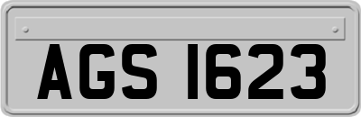 AGS1623