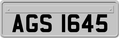 AGS1645