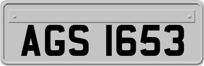 AGS1653
