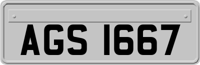 AGS1667