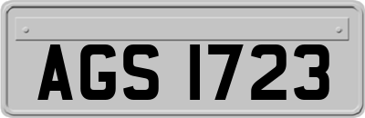 AGS1723