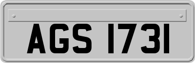 AGS1731