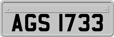 AGS1733