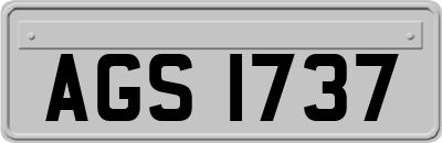 AGS1737