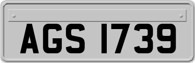 AGS1739