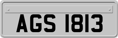 AGS1813