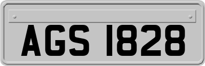 AGS1828