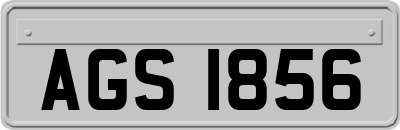 AGS1856