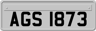 AGS1873