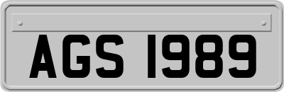 AGS1989
