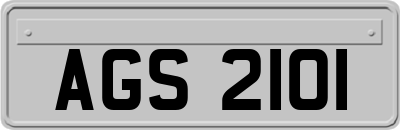 AGS2101