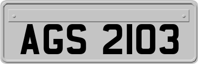 AGS2103