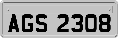 AGS2308