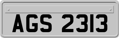 AGS2313