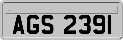 AGS2391