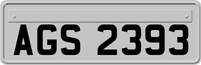 AGS2393