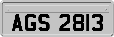 AGS2813
