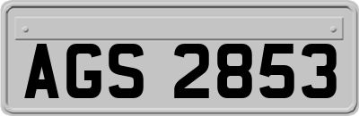 AGS2853