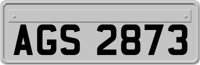 AGS2873