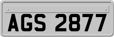 AGS2877