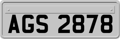 AGS2878
