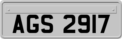 AGS2917